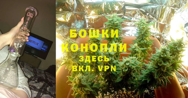 ГАЛЛЮЦИНОГЕННЫЕ ГРИБЫ Зеленодольск