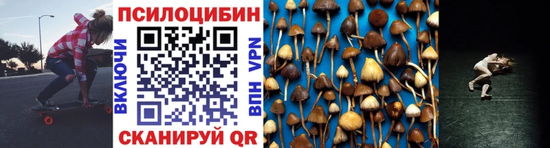 Галлюциногенные грибы MAGIC MUSHROOMS  Купить где  Воркута 